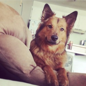 with coffee and grace, Carissa Thom