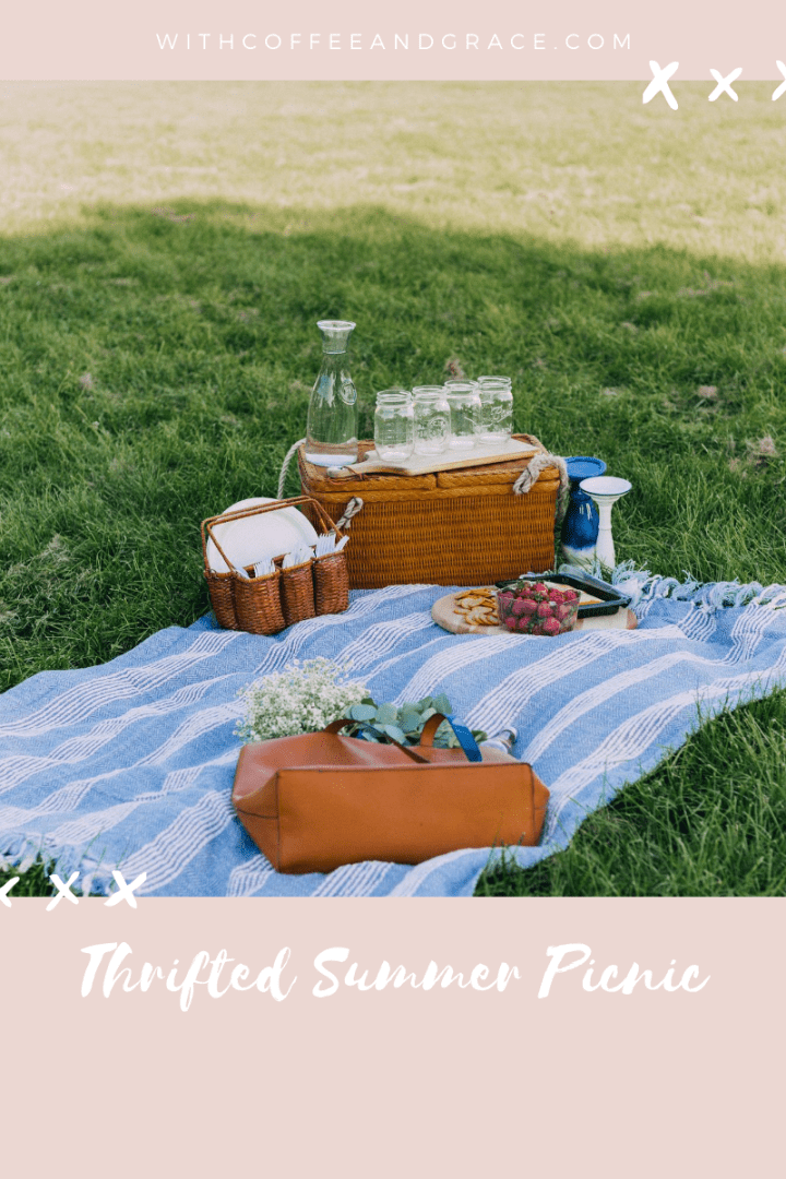 Thrifted Summer Picnic